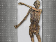 ciencia/20260604/increible-hallazgo-otzi-momia-5300-anos-aun-mantiene-ecosistema-vivo-interior_425056