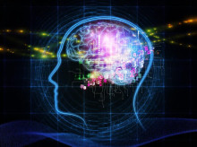 ciencia/20260915/crean-implante-cerebral-permite-personas-paralisis-comunicar-palabras-gestos_458890