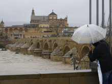 espana/la-voz-de-cordoba/economia/20260805/accidente-adamuz-borrascas-causaron-perdidas-100-millones-economia-cordoba_446994