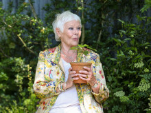 cine-tv-series/20261022/judi-dench-dama-cine-teatro-retirada-perdida-vision-no-puedo-actuar-leer_472828