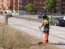 espana/la-voz-de-cordoba/provincia/20260420/puente-genil-inicia-tareas-desbroce-solares-publicos-municipales_408943