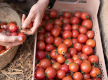 campo-y-caza/20260328/agricultores-alertan-sobre-productos-llegados-egipto-china-marruecos-contener-quimicos-prohibidos_400841