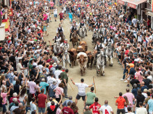 espana/comunidad-valenciana/20260907/entrada-toros-caballos-segorbe-2026-arranca-veloz-e-impecable-carrera-51-segundos_456235