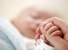 sociedad/20260226/neos-alerta-atentado-contra-dignidad-humana-conocer-apoyo-aborto-consejo-estado_389981