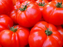 espana/madrid/20260807/estos-son-mejores-sitios-comprar-tomates-madrid_426867