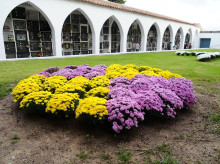 espana/la-voz-de-cordoba/provincia/20260226/cobros-familias-sabotajes-cementerio-ayuntamiento-pozoblanco-despide-dos-enterradores_389873