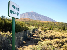 sociedad/sociedad-medio-ambiente/20260831/posible-erupcion-teide-tendria-ocurrir-aumentase-riesgo_453477