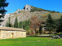 espana/castilla-y-leon/20260324/amantes-setas-enhorabuena-castilla-leon-aprueba-parque-micologico-idilico-lugar_399659