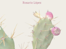 cultura/libros/20260328/cosas-inutiles-te-contaria-pulso-vida-grietas_400532