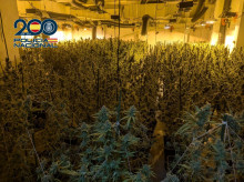 espana/baleares/20260722/compra-marihuana-ibiza-huye-policia-acaba-detenido_442514