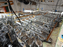 espana/la-voz-de-cordoba/provincia/20260329/guardia-civil-desmantela-plantacion-marihuana-almodovar-rio_401353