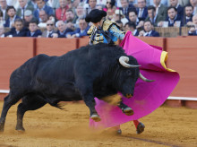 cultura/20260415/toros-bravos-figuras-no-quieren_407270