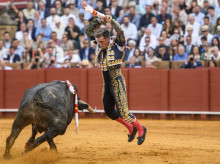 gente/20260822/manuel-escribano-grave-cogida-malaga-hoy-toca-celebrar-mi-cumpleanos-desde-cama-hospital_451438
