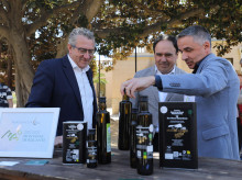 espana/comunidad-valenciana/20260420/diputacion-impulsa-aove-alicantino-primera-muestra-olis-dalacant-marq_408904