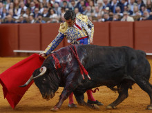 espana/castilla-y-leon/20260513/morante-puebla-volvera-castilla-leon-caerse-cartel-taurino-valladolid_417263