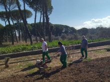 espana/castilla-la-mancha/20260429/caritas-diocesana-toledo-muestra-camino-hacia-empleo-digno-900-personas-2025_412348