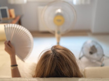 salud-y-bienestar/salud/20260430/ia-descubre-menopausia-envejece-forma-distinta-cada-organo-femenino_412575