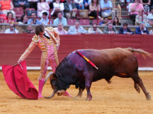 espana/la-voz-de-cordoba/cultura/20260517/julio-norte-abre-generosa-puerta-califas_418376