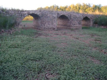 espana/castilla-la-mancha/20260521/puente-fantasma-ciudad-real-solo-deja-ver-cuando-baja-embalse_419315