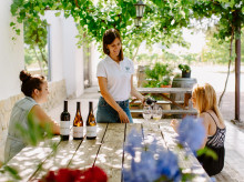 estilo-vida/restaurantes/20260524/diez-vinos-excelentes-desde-9-euros-brindar-llegada-buen-tiempo_413422