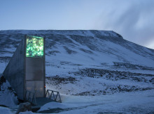 sociedad/sociedad-medio-ambiente/20260521/asi-banco-semillas-svalbard-arca-noe-vegetal-ganado-princesa-asturias_419644