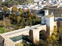 espana/andalucia/20260521/hace-pino-cae-puente-pinos-puente_420211
