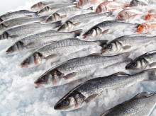 economia/consumo/20260521/comprar-pescado-bandeja-fresco-pescaderia-ocu-explica-barato-cns_420231