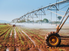espana/castilla-la-mancha/20260522/pp-clm-alerta-precipicio-economico-social-amenaza-alto-guadiana_420245