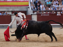 cultura/20260524/solo-david-miranda-corta-oreja-encastada-corrida-alcurrucen_421061