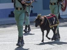espana/defensa/20260530/legion-desfila-mascota-baraka-borrego-rutina-entrenamiento-militar_422841
