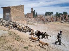 campo-y-caza/20260606/oferta-trabajar-campo-2000-euros-mes-dos-dias-libres-semana_425364