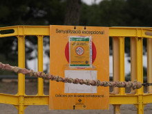 espana/cataluna/barcelona/20260608/200-vecinos-desafian-generalitat-saltan-prohibicion-entrar-collserola-peste-porcina_426324