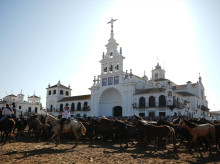 espana/andalucia/20260625/vuelve-tradiciones-ancestrales-almonte-saca-yeguas_432686