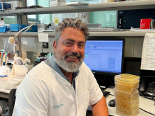 espana/baleares/20260821/investigacion-liderada-desde-mallorca-consigue-poner-freno-bacterias-rebeldes-peligrosas_437948
