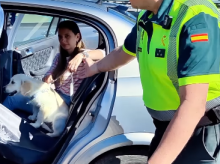 motor/20260721/guardia-civil-dice-como-debemos-llevar-nuestra-mascota-coche-correa-no-vale_438062
