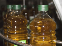 campo-y-caza/20260824/aceite-oliva-apunta-bajada-precios-2027-aumentar-30-produccion-cns_451664