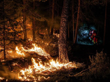 espana/castilla-la-mancha/20260727/fuego-resiste-abandonar-castilla-mancha-focos-ocultos-ganaderos-pidiendo-auxilio_444236