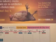 espana/baleares/20260725/campana-pollo-drogas-incendia-ibiza-asociar-isla-consumo-sustancias_443568