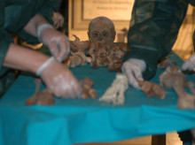 historia/20260725/murio-envenenado-francisco-i-medici-adn-resuelve-misterio-renacimiento_443648