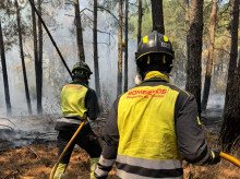 espana/castilla-y-leon/20260725/incendio-avila-sigue-devastador-avance-tietar-30000-desalojados-8000-confinados_443693
