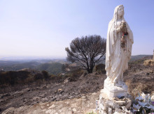 religion/20260727/oraciones-misas-hasta-exorcismos-asi-implorado-pueblo-fiel-auxilio-dios-contra-desastres_443984