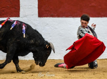 cultura/20260802/hector-recuero-novillero-tauromaquia-tiene-todos-valores-necesita-persona-vida-diaria_440889