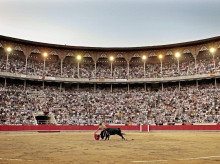 cultura/20260728/cumplen-16-anos-prohibicion-toros-cataluna-manana-podria-haber-festejos-barcelona_444186
