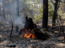 espana/madrid/20260728/valdemaqueda-pequeno-pueblo-evacuado-madrid-conseguido-salvarse-llamas_444331