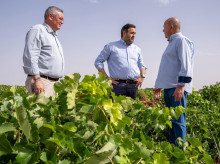 espana/castilla-la-mancha/20260729/nunez-peligro-70-pozos-ante-cierre-mancha-ampliar-directiva-marco-agua_444916