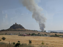 espana/la-voz-de-cordoba/provincia/20260729/infoca-lucha-contra-incendio-forestal-inmediaciones-belmez_444967