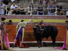 espana/baleares/20260730/protesta-contra-tauromaquia-palma-animalistas-convocan-concentracion-frente-plaza-toros_445025