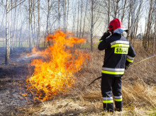 espana/castilla-la-mancha/20260729/castilla-mancha-recibe-105-bomberos-polacos-afrontar-agosto-critico-incendios_445099