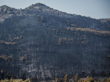 espana/castilla-la-mancha/20260807/tejido-economico-laboral-afectado-incendio-mierla-perfila-hoja-ruta-recuperarse_447690