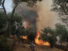 internacional/20260730/incendios-grecia-dejan-tres-bomberos-muertos-8000-evacuados_445123